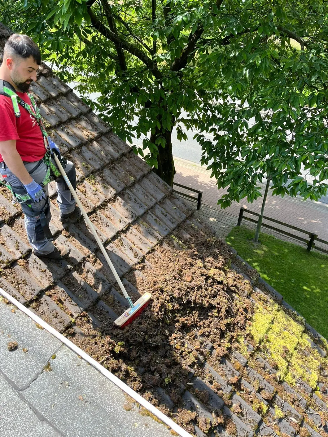 Reinigungsdienste von Mesendorfean Hausservice